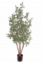 Eucalyptus UV bestendig, H. 165 cm, Ø 70cm